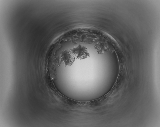 X0000115740775200911191444