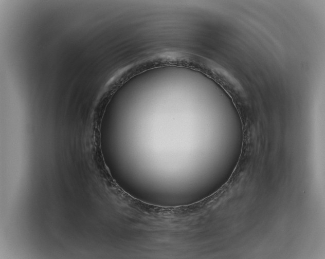 X0000115740776200911191444