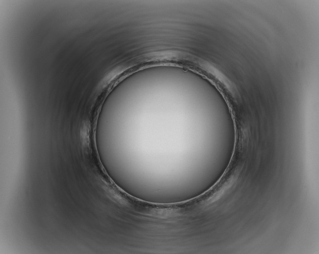 X0000115740778200911191444