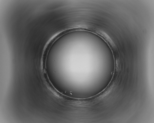 X0000115740780200911191444