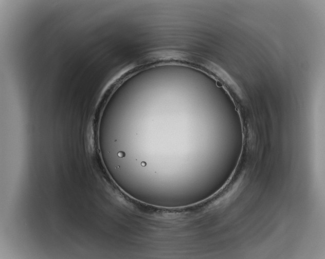 X0000115740782200911191444