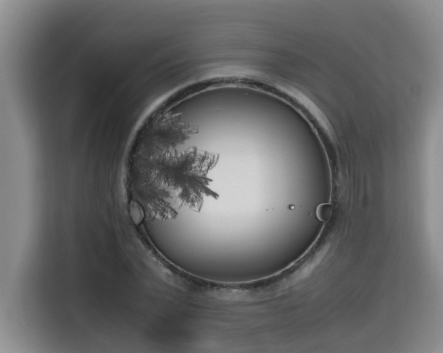 X0000115740783200911191444