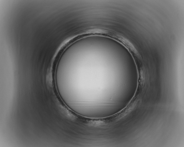 X0000115740784200911191444