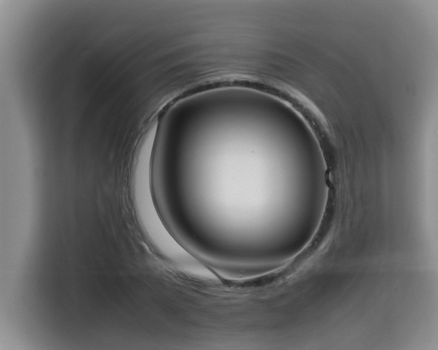 X0000115740785200911191444