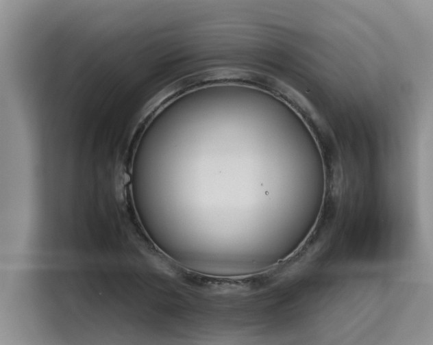 X0000115740786200911191444