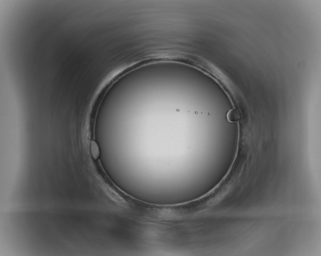 X0000115740787200911191444