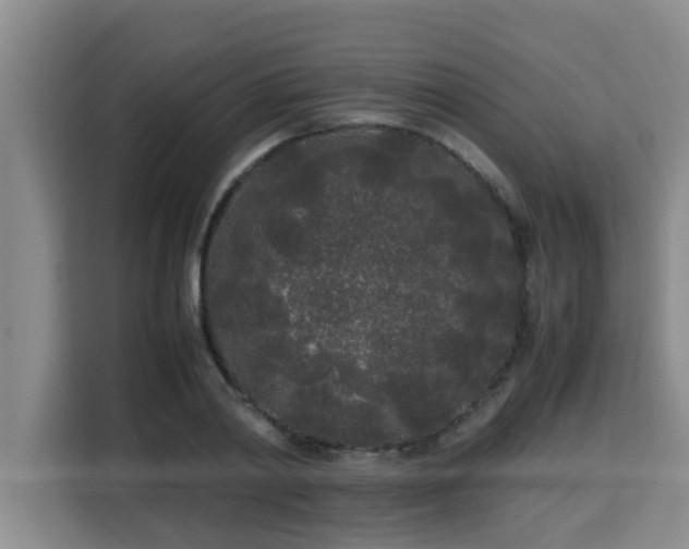 X0000115740790200911191444