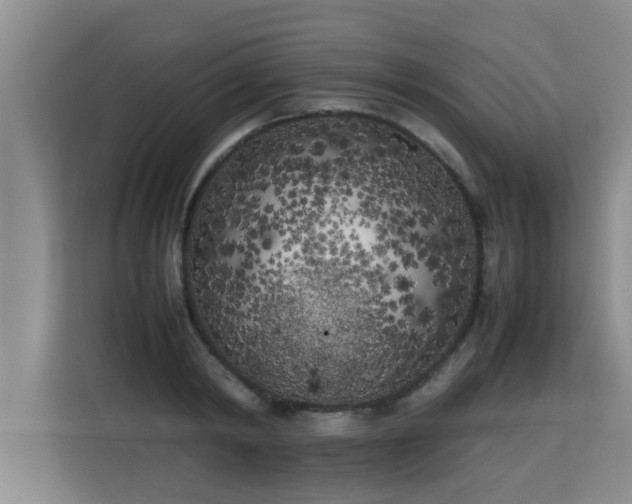 X0000115740798200911191444