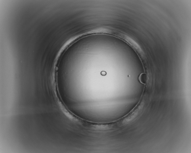 X0000115740800200911191444