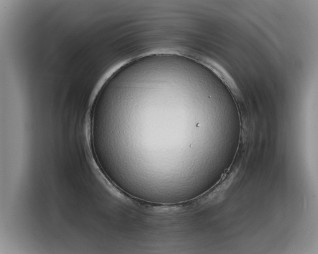 X0000115740804200911191444