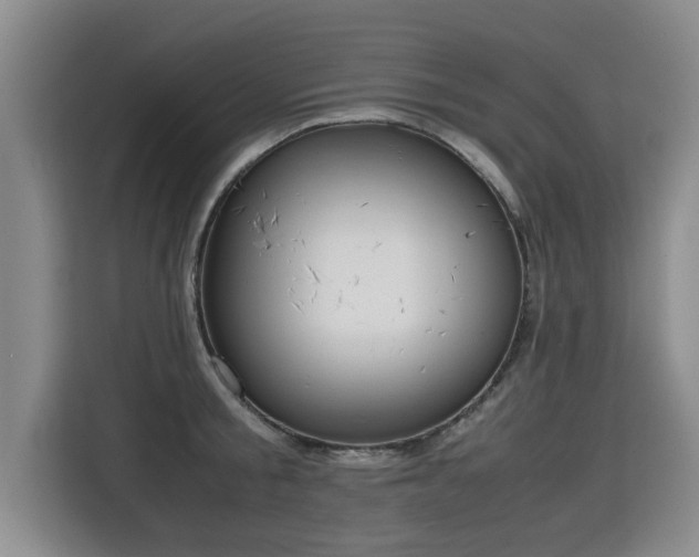 X0000115740805200911191444