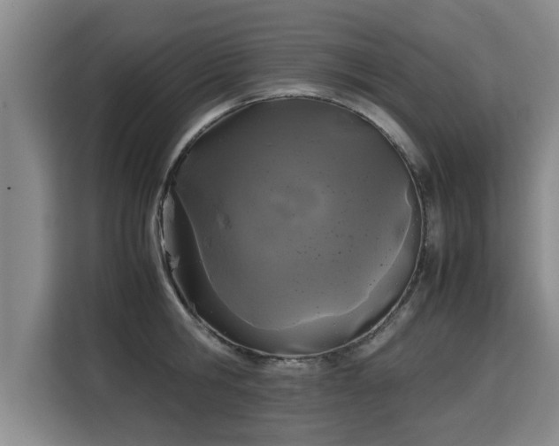 X0000115740806200911191444