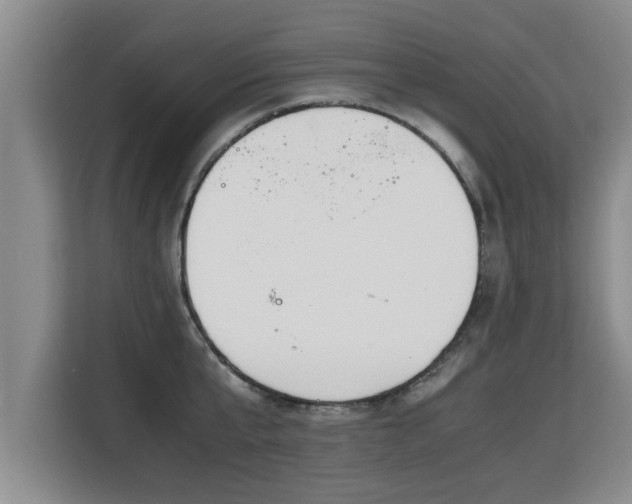 X0000115740807200911191444