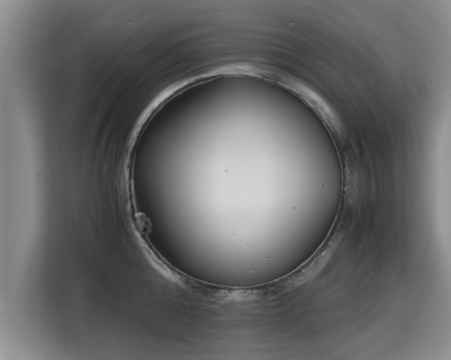 X0000115740808200911191444