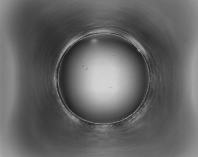 X0000115740813200911191444