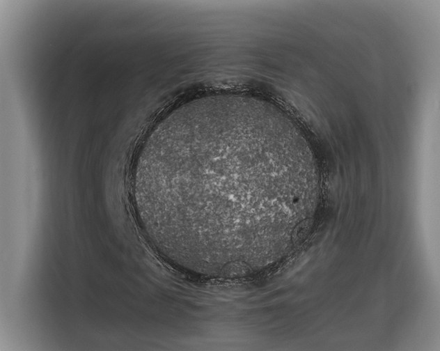 X0000115740817200911191443