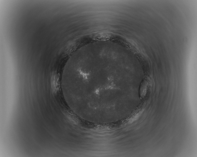 X0000115740818200911191443