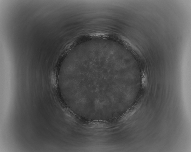 X0000115740819200911191443