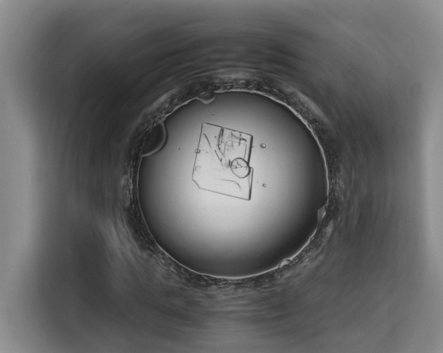 X0000115740821200911191443