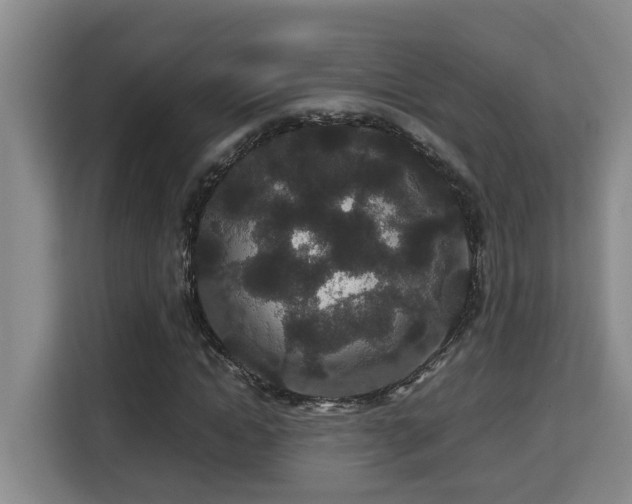 X0000115740822200911191443