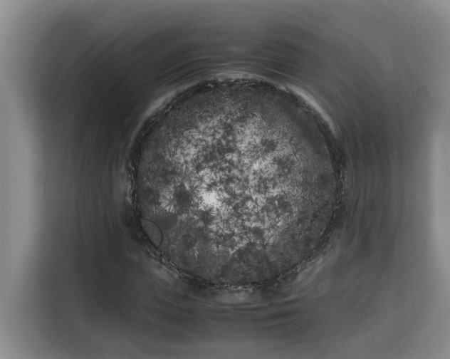 X0000115740823200911191443