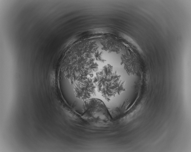 X0000115740825200911191443