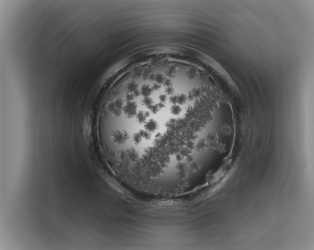 X0000115740826200911191443