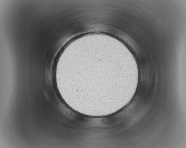 X0000115740828200911191443