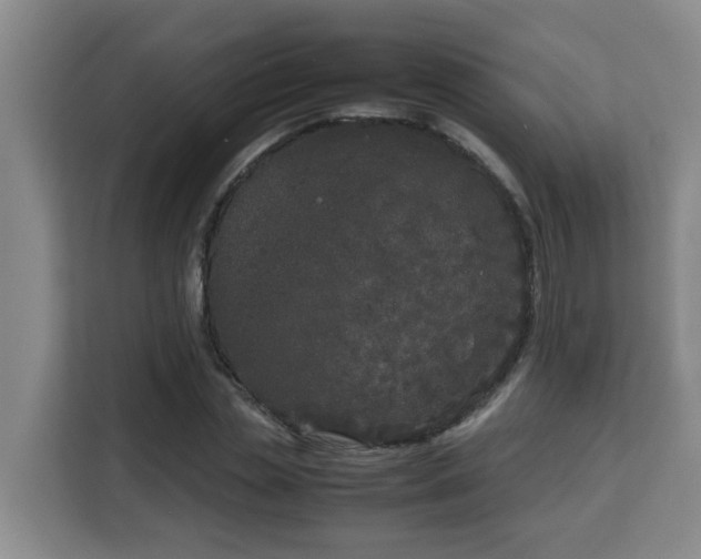 X0000115740829200911191443