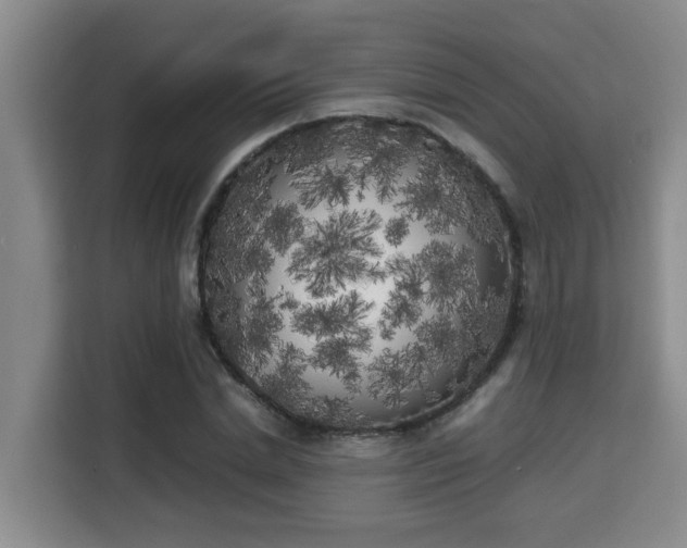 X0000115740830200911191443