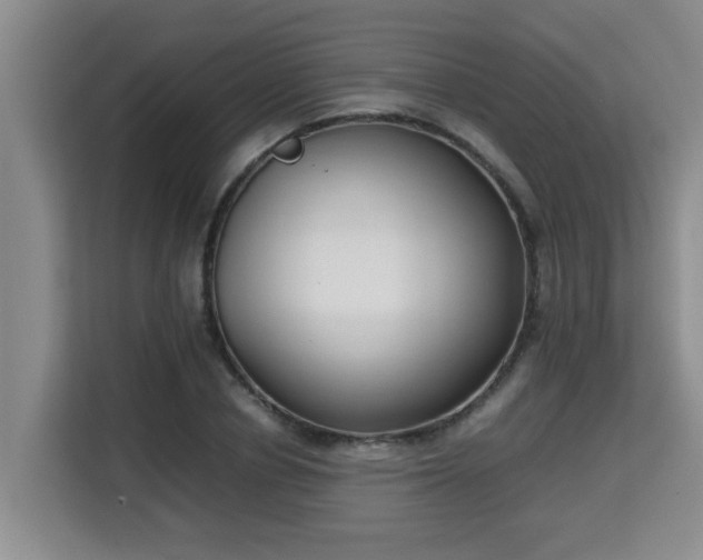 X0000115740834200911191443