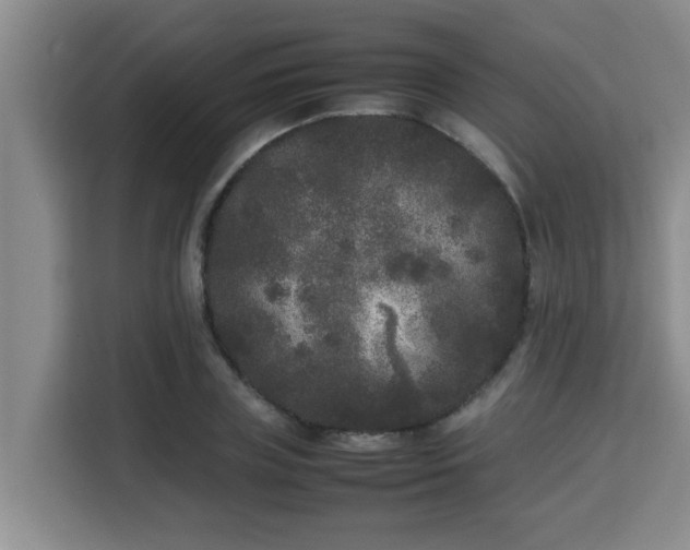 X0000115740835200911191443