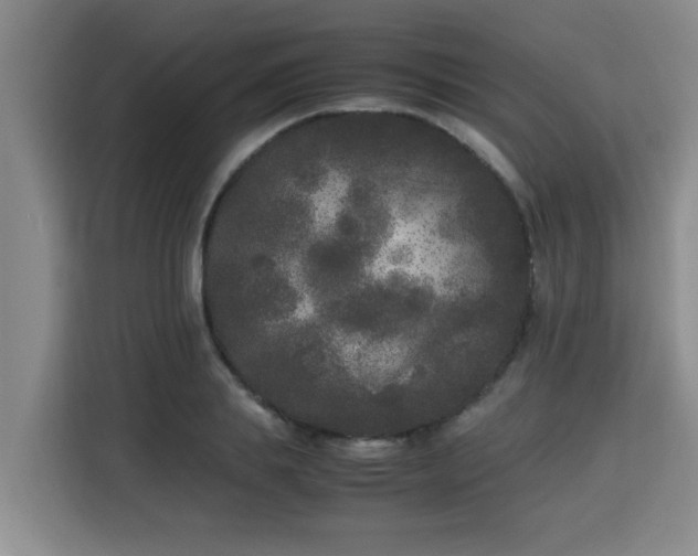 X0000115740839200911191443