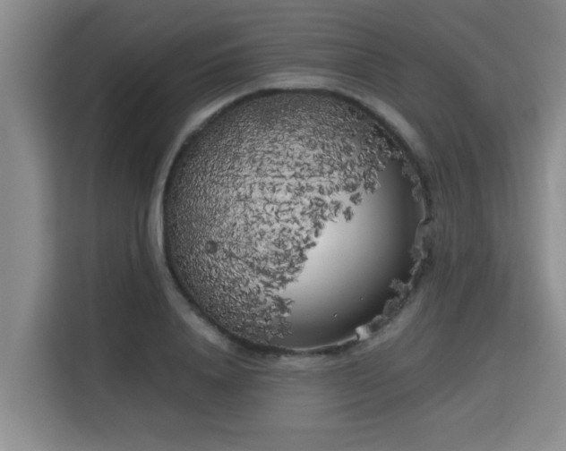 X0000115740840200911191443