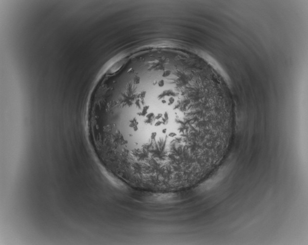 X0000115740845200911191444