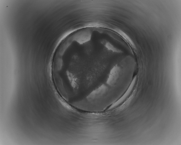 X0000115740854200911191444