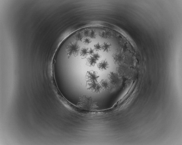 X0000115740858200911191444