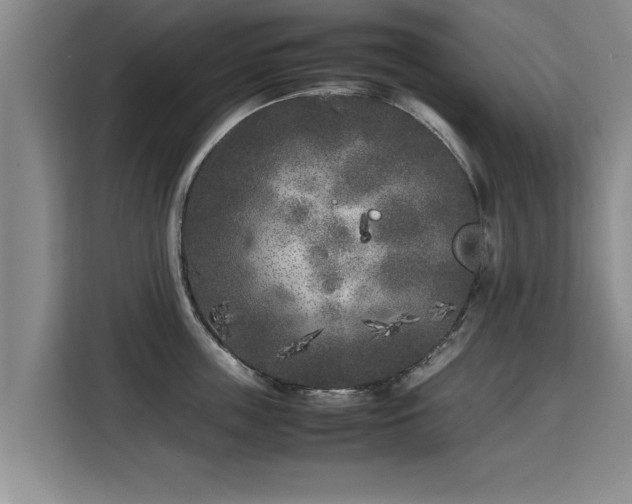 X0000115740859200911191444