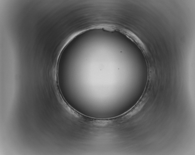 X0000115740860200911191444