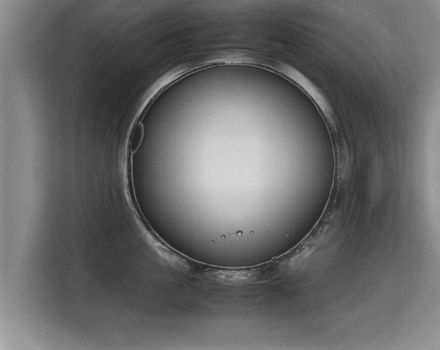 X0000115740861200911191444