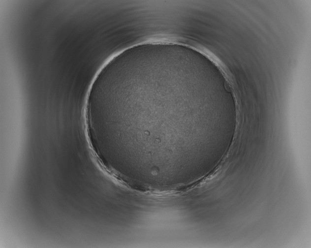 X0000115740864200911191444