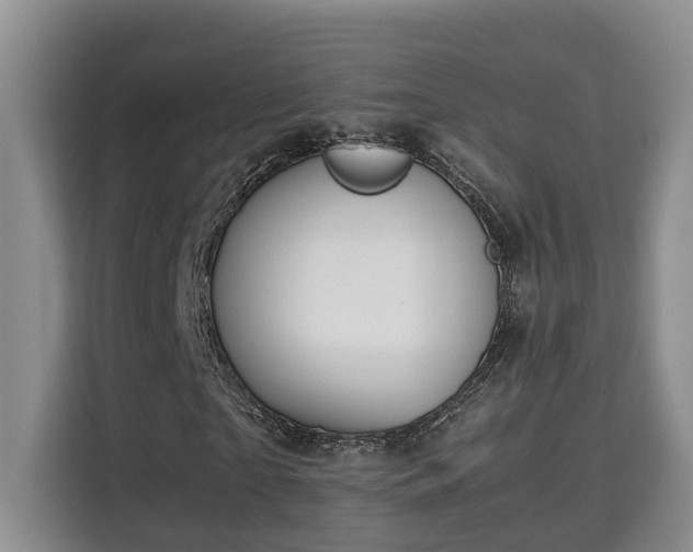 X0000115740865200911191443