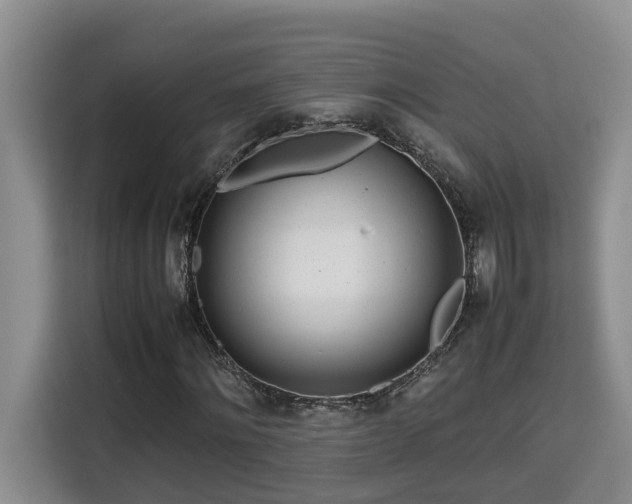 X0000115740868200911191443