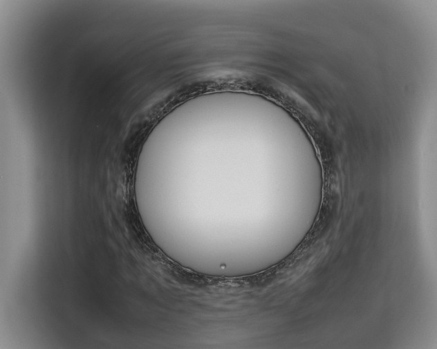 X0000115740869200911191443