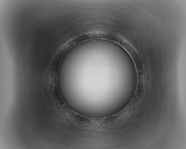 X0000115740870200911191443