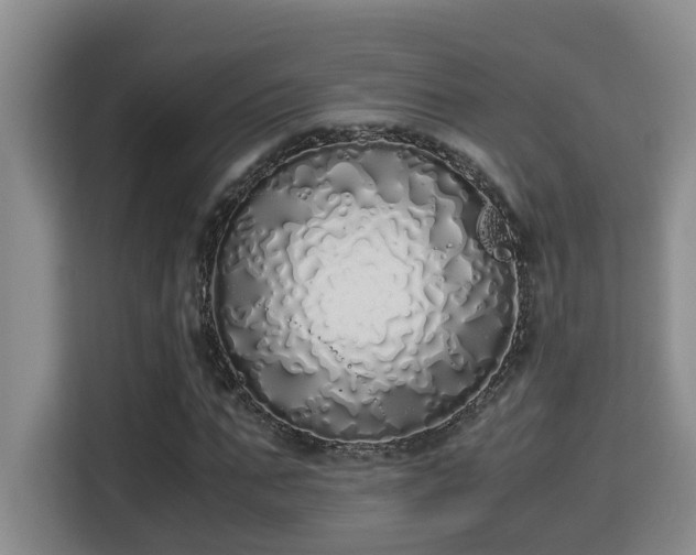 X0000115740871200911191443