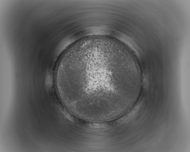 X0000115740874200911191443