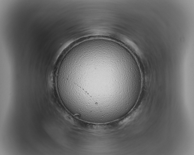 X0000115740875200911191443