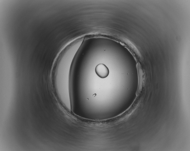 X0000115740876200911191443