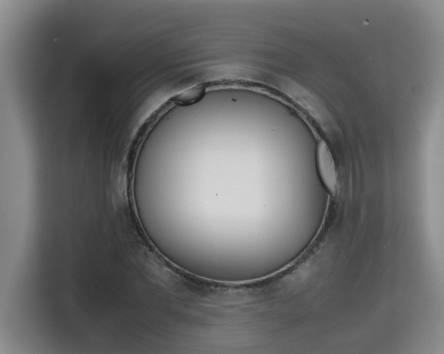 X0000115740877200911191443